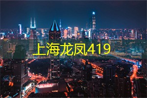 夜上海的梦幻旅程：浪漫与__并存的城市冒险